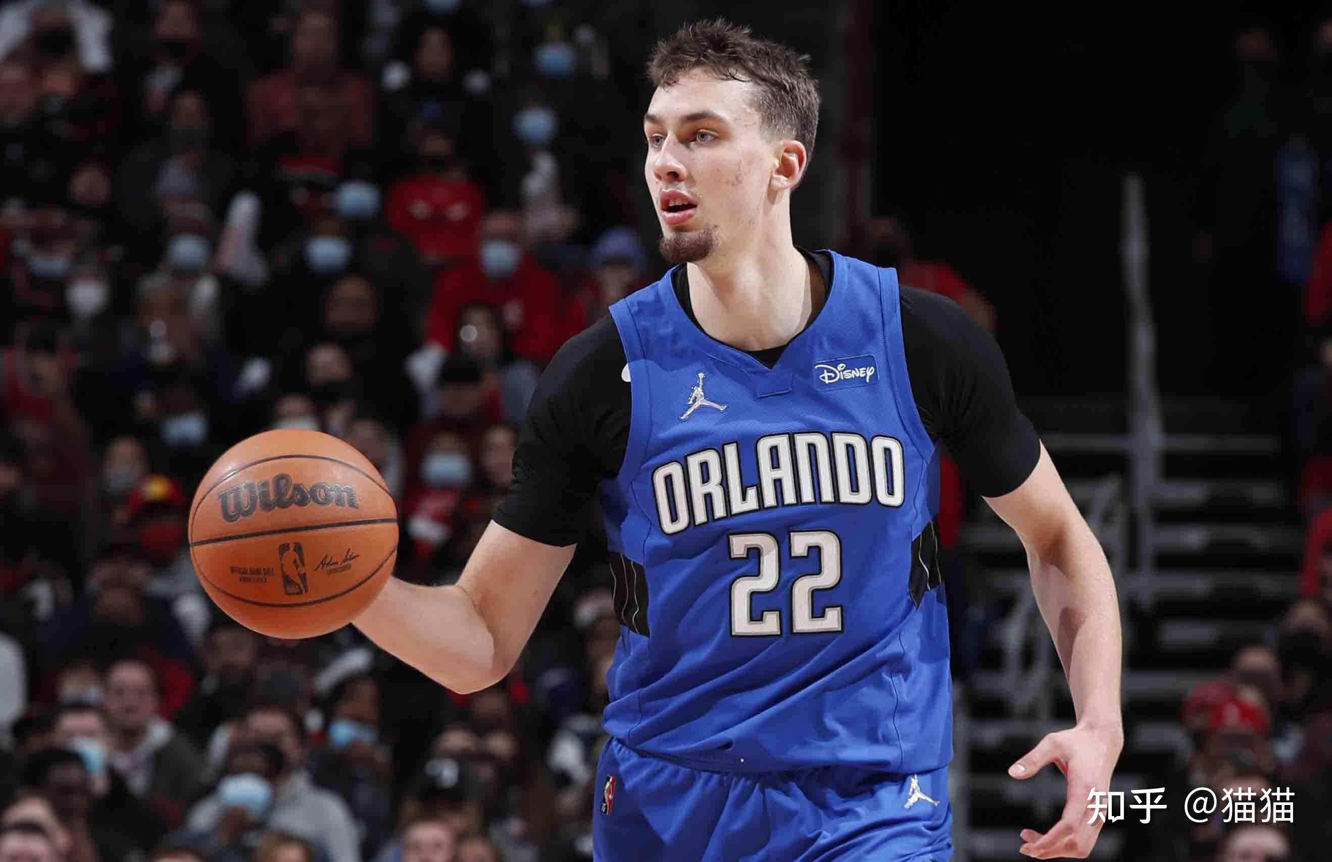 这个领域的 这个领域的